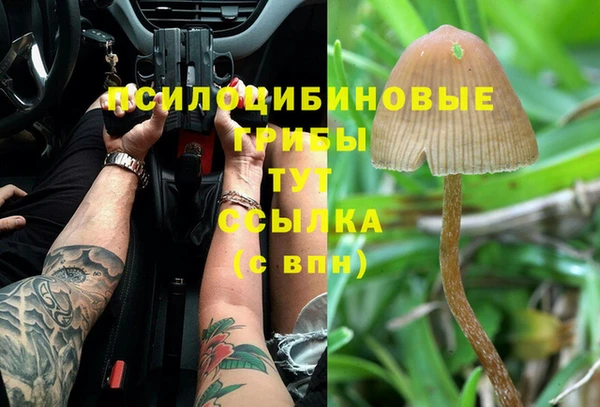 таблы Лиски