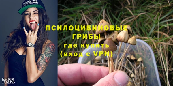 таблы Лиски