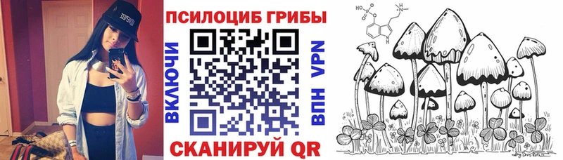 Псилоцибиновые грибы Psilocybine cubensis  Монино 