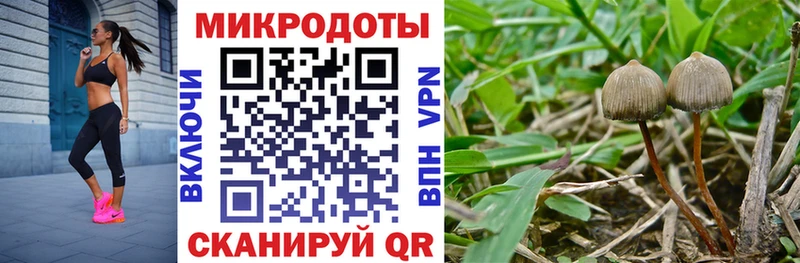 Псилоцибиновые грибы ЛСД Монино